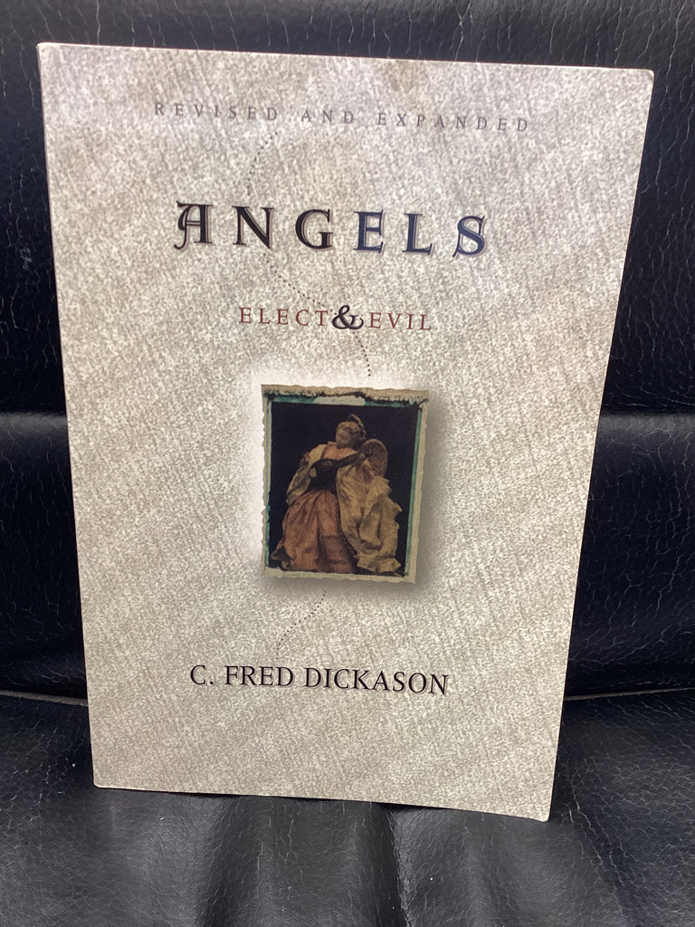 Angels Elect & Evil (Used Copy)