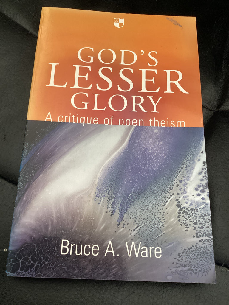 God's Lesser Glory: A Critique of Open Theism (Used Copy)