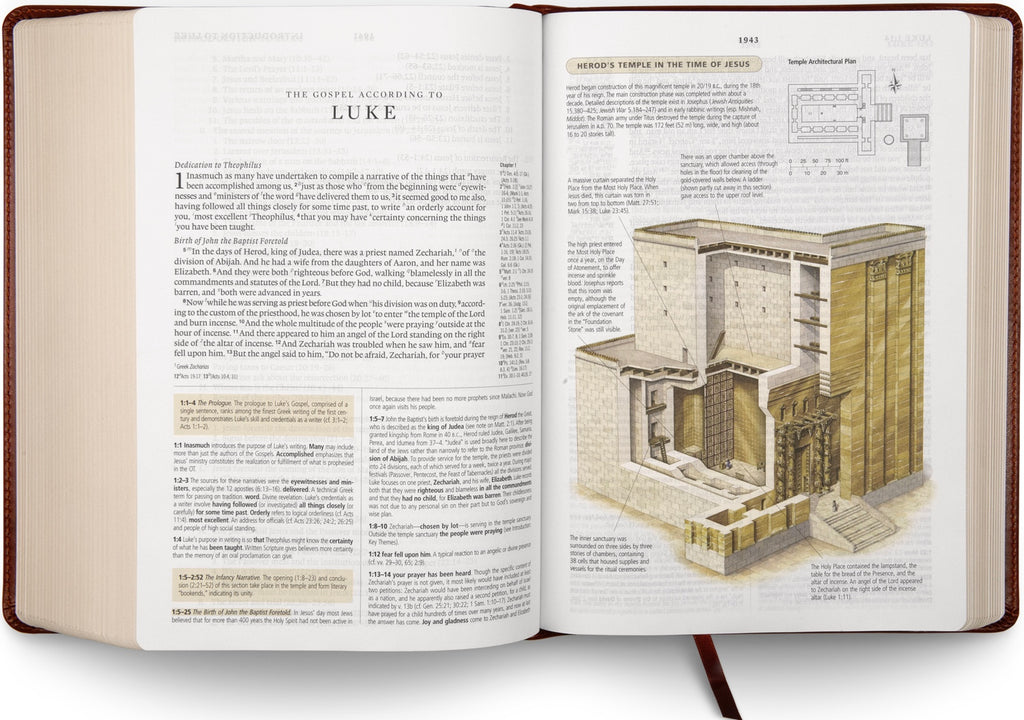 ESV Study Bible - TruTone, Chestnut