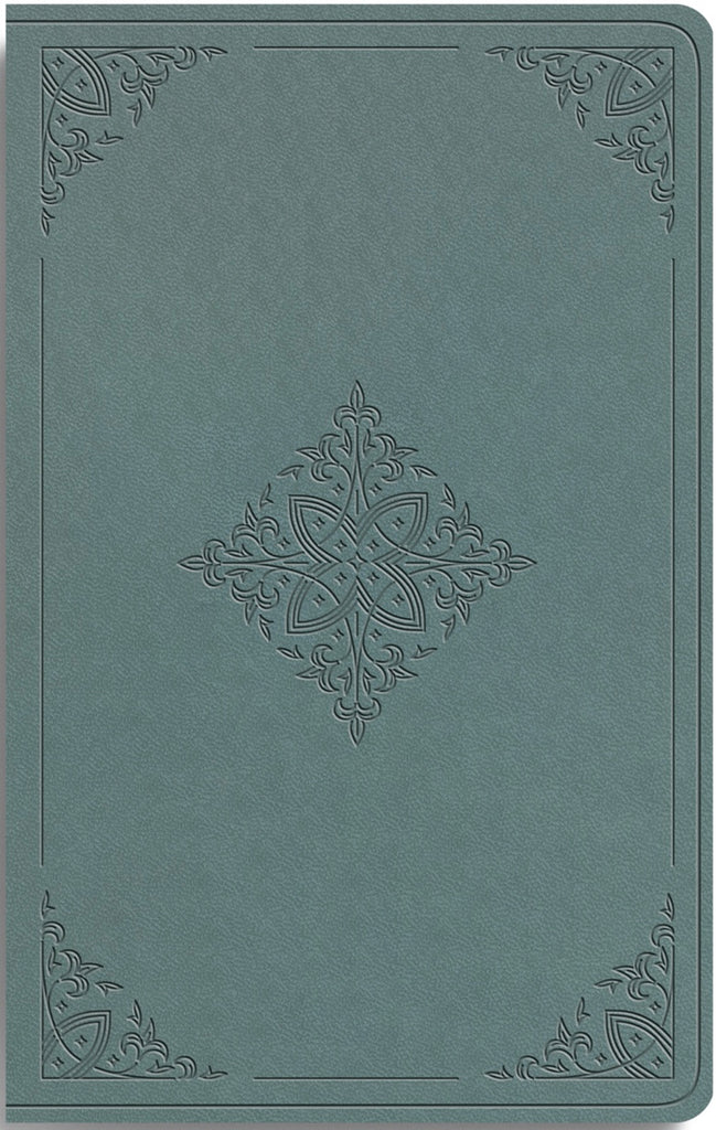 ESV Value Thinline Bible - TruTone, Paris Sky, Fleur-de-lis Design