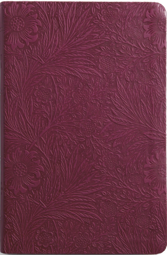 ESV Value Thinline Bible - TruTone, Raspberry, Floral Design
