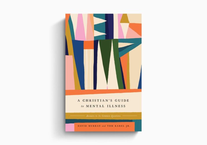 Christian's Guide to Mental Illness