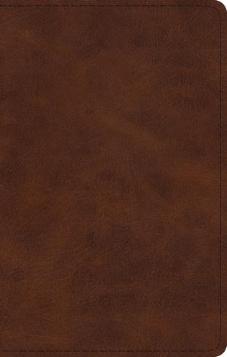 ESV Large Print Thinline Bible (Deep Brown)
