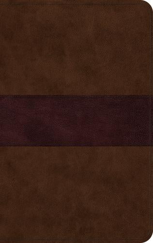 ESV Large Print Thinline Bible (Chocolate/Plum, Trail)