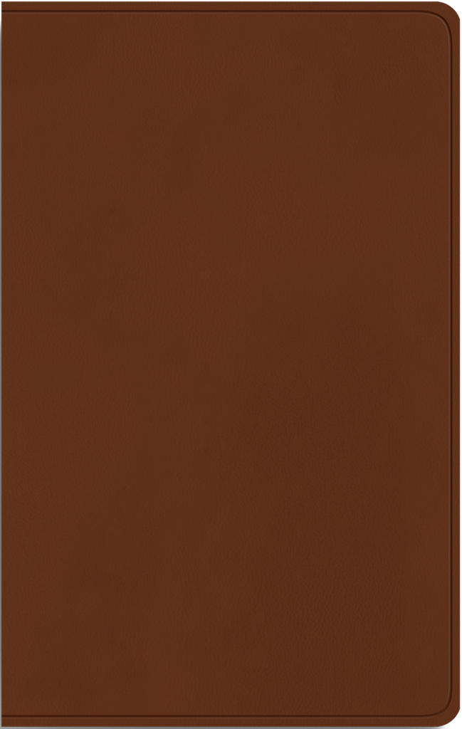 ESV Large Print Value Thinline Bible - TruTone, Camel