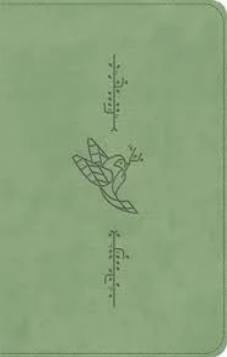 ESV Kid's Bible Compact, TruTone, Bird of the Air Design