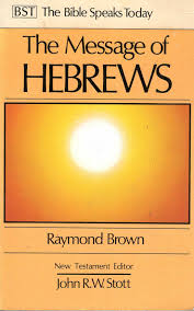 The Message of Hebrews - Commentary (Used Copy)