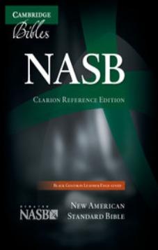 NASB Clarion Black Goatskin Leather