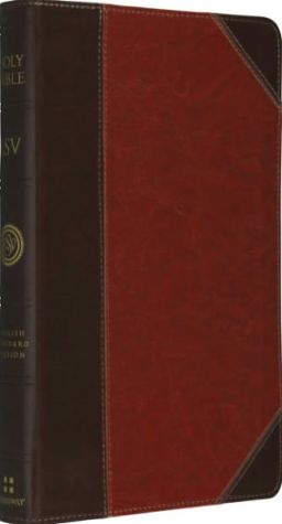 ESV Thinline Bible (TruTone, Brown/Cordovan, Portfolio Design)