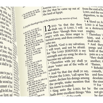 KJV Westminster Reference Bible - Hardback, Back, Vinyl