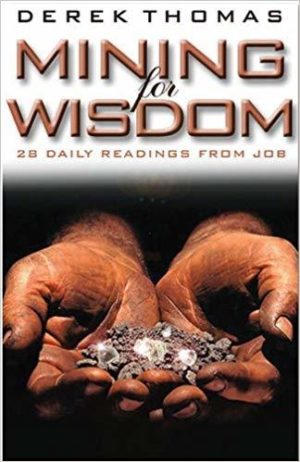 Mining for Wisdom - 28 Daily Readings from Job