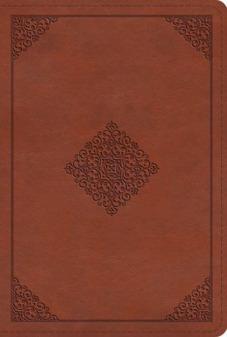 ESV Large Print Compact Bible TruTone, Terracotta, Ornament Design