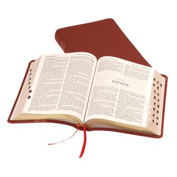 Holy Bible: Windsor: AV: Leather