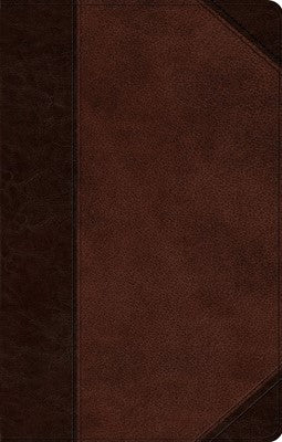 ESV Ultrathin Bible - Trutone, Brown/Walnut, Portfolio