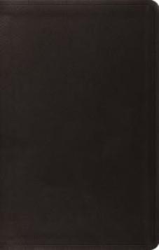 ESV Value Thinline Bible - Trutone, Black