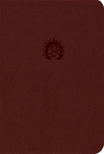 ESV Reformation Study Bible (Brick Red)