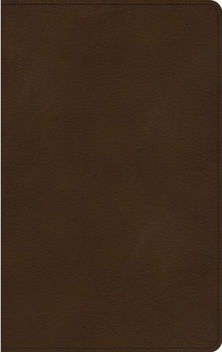 KJV Ultrathin Bible - Brown, Leathertouch