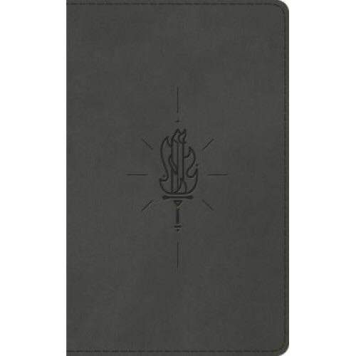 ESV KID'S THINLINE BIBLE (TRUTONE, SWORD OF THE SPIRIT)