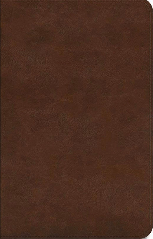 ESV - Concise Study Bible, Brown TruTone
