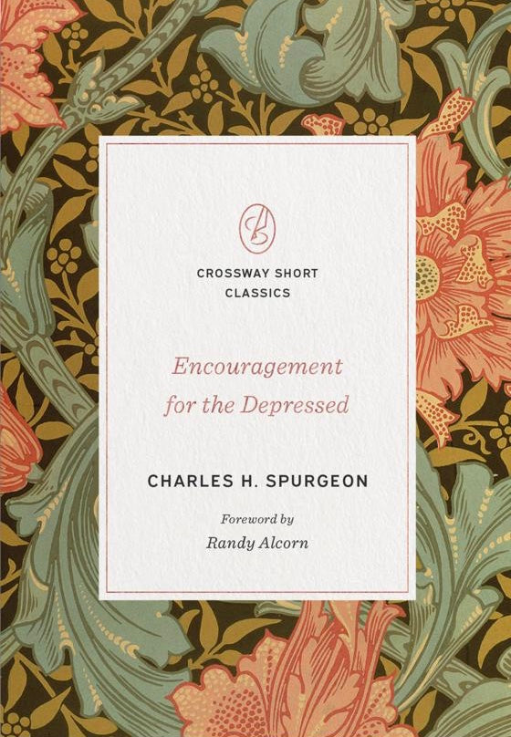 Encouragement for the Depressed