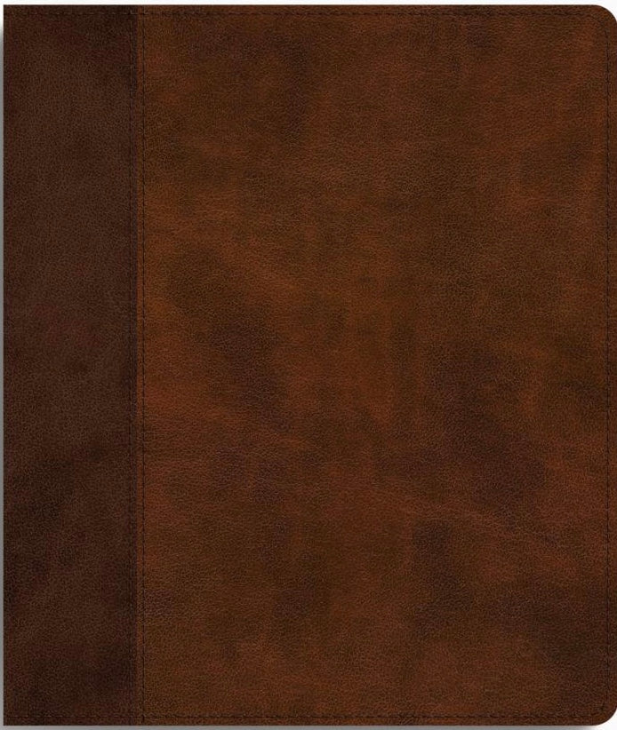 ESV Journalling Bible - TruTone, Brown/Tan, Timeless Design