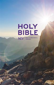 NIV Thinline Value Hardback Bible