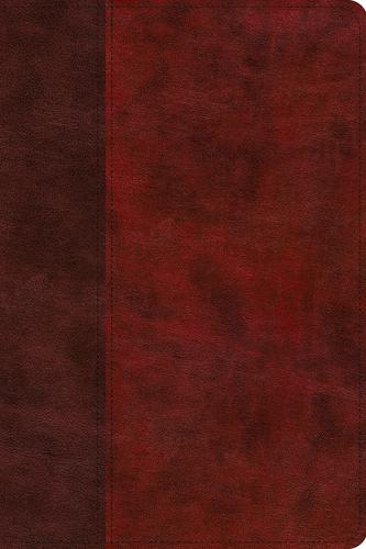 ESV Study Bible Burg/Red