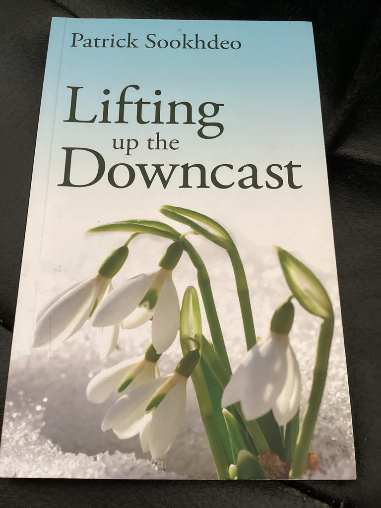 Lifting up the Downcast (Used Copy)