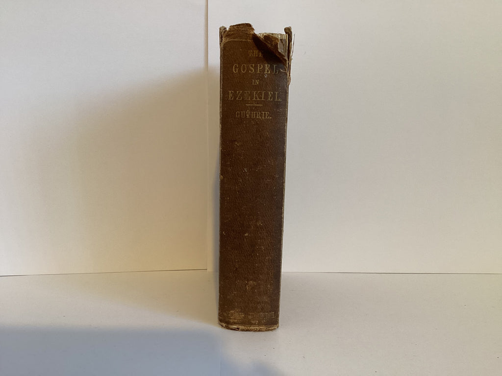 The Gospel of Ezekial (John Gowan Collection)