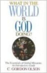 What in the World Is God Doing : The Essentials of Global Missions: An Introductory Guide