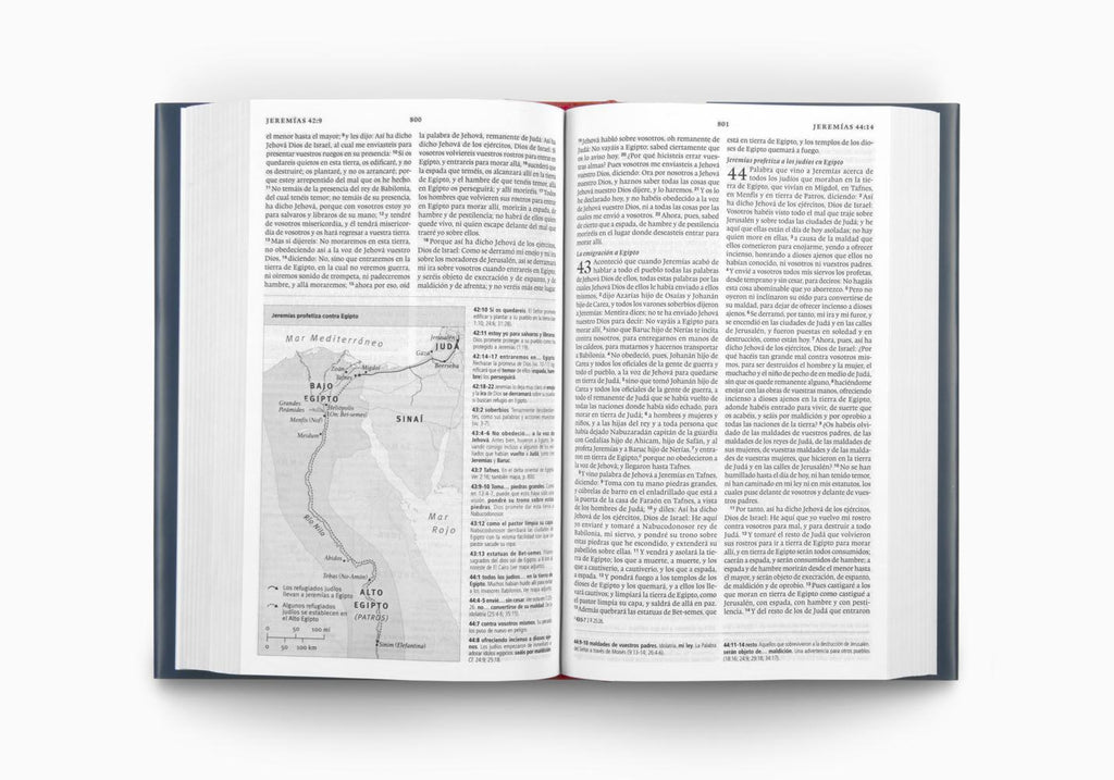 Biblia de Estudio Concisa RVR
(Tapa Dura)