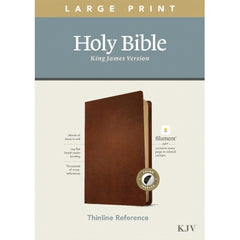 KJV Large Print Thinline Reference Bible, Filament Enabled E