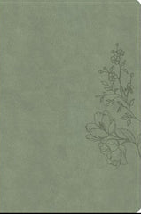 CSB Large Print Thinline Bible, Digital Study Edition, Sage