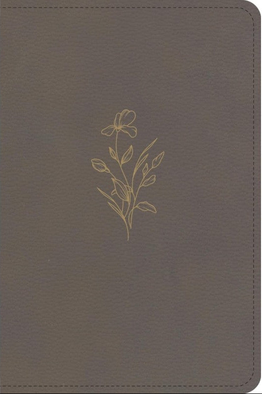 KJV Large Print Compact Reference Bible - Clay, Leathertouch