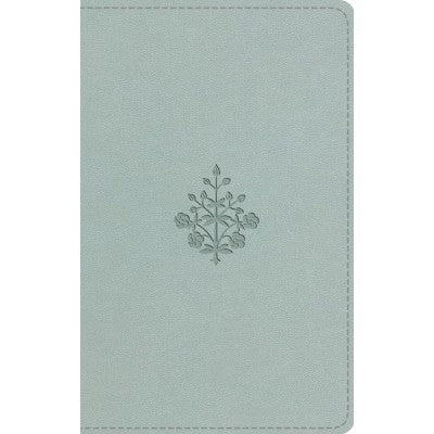 ESV Large Print Value Thinline Bible, River Stone