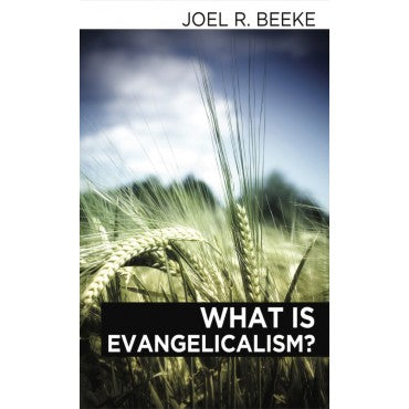 What Is Evangelicalism?