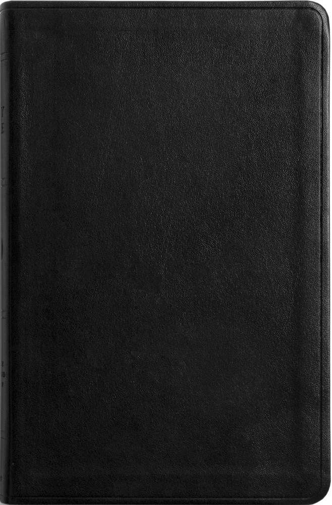 ESV Large Print Value Thinline Bible - TruTone, Black