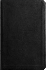 ESV Large Print Value Thinline Bible - TruTone, Black