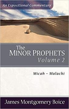 The Minor Prophets: Micah-Malachi (Expositional Commentary)