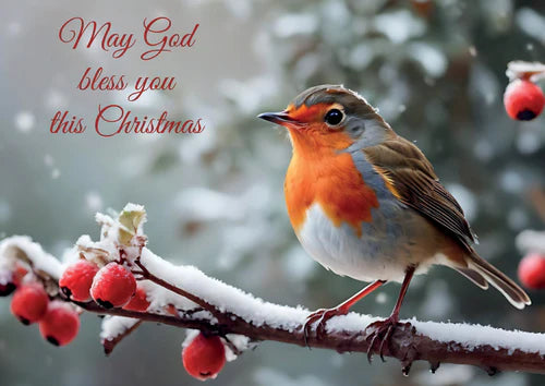 May God Bless You this Christmas