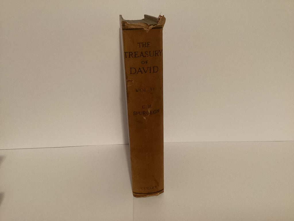 The Treasury of David: Exposition of the Psalms (Volume 6) (John Gowan Collection)