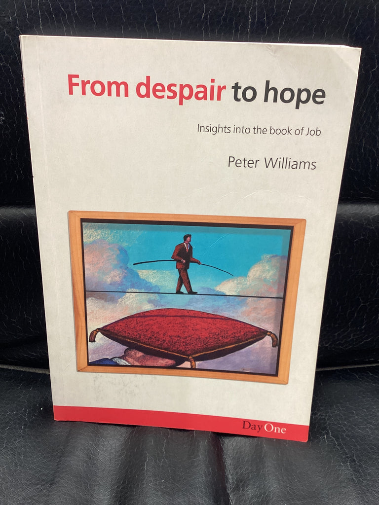 From Despair to Hope: Insights into the Book of Job (Used Copy)