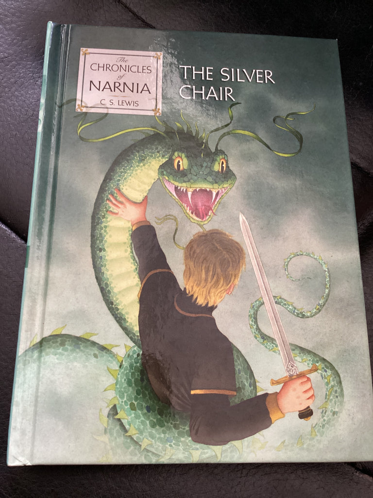 The Silver Chair (Used Copy)