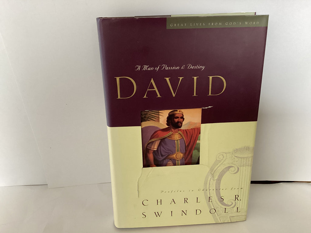 David: Man of Passion & Destiny (John Gowan Collection)