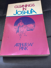 Gleanings in Joshua (Used Copy)