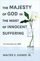 The Majesty of God in the midst of suffering - the message of Job