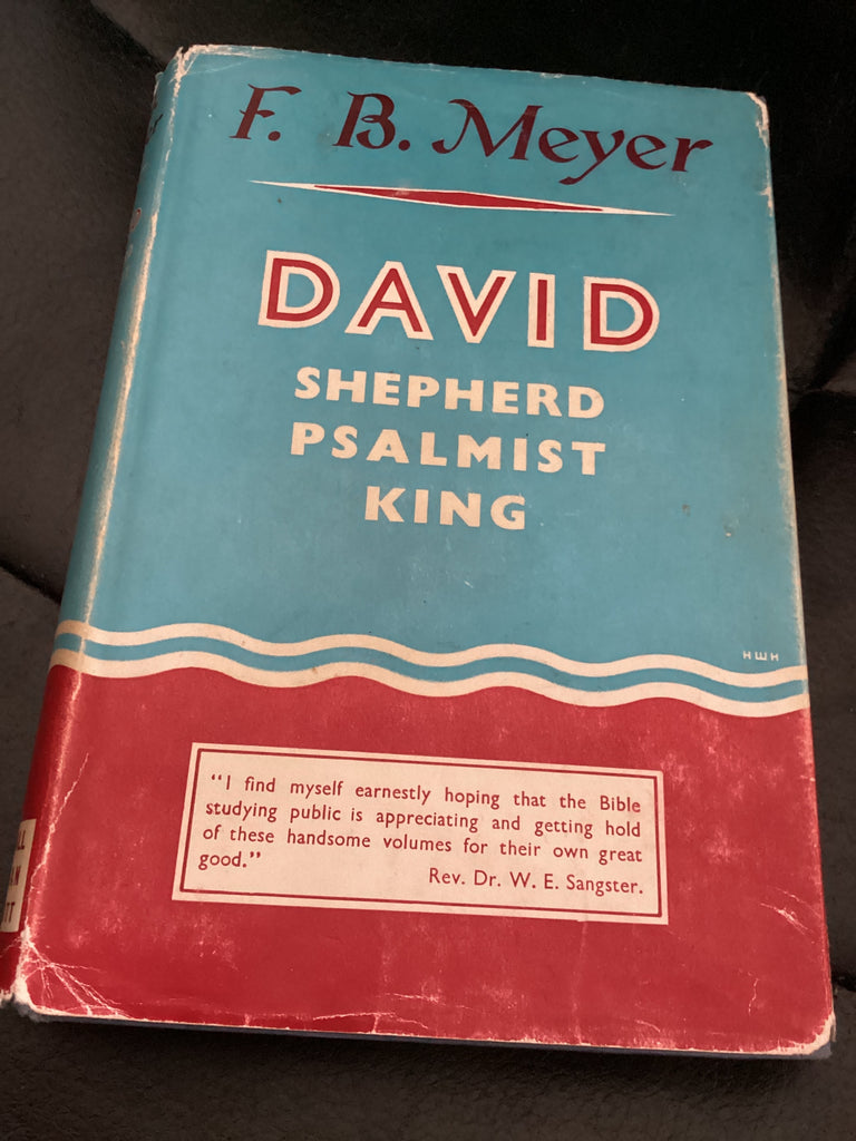 David - Shepherd, Psalmist, King (Used Copy)
