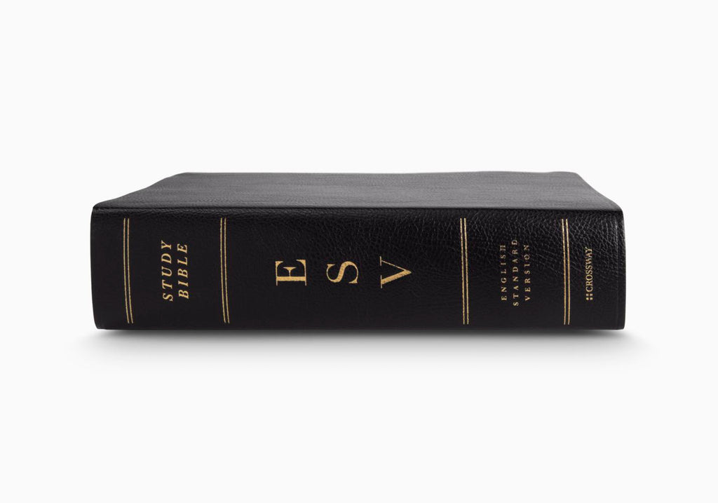 ESV Study Bible (Bonded Leather, Black)