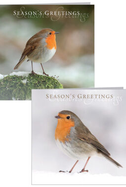 Seasons Greetings