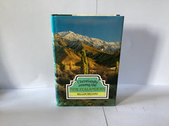 Christianity among the New Zealanders (John Gowan Collection)